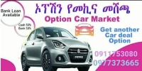 Option Car Market 